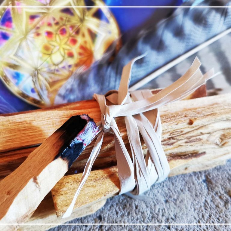 palo santo pour nettoyer la maison