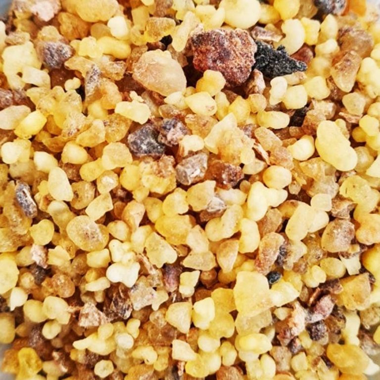 Encens resine oliban 